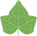 Light Green-1